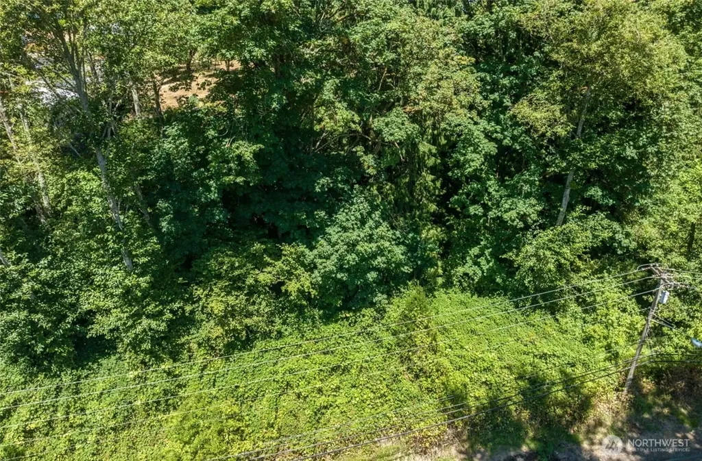 25 Allen Street Kelso WA 98626