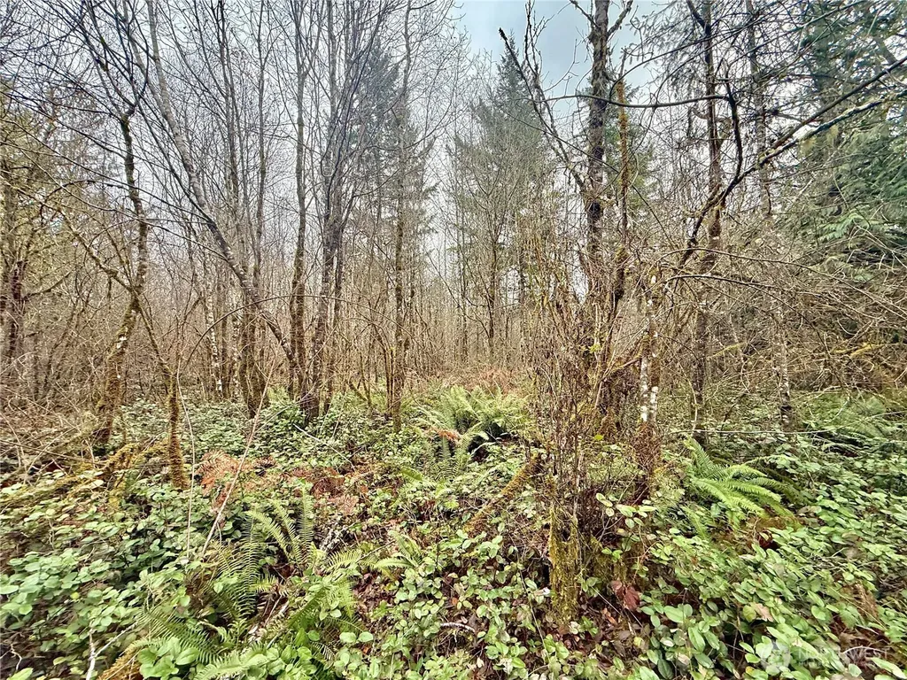 298 Boone Road Toledo WA 98591