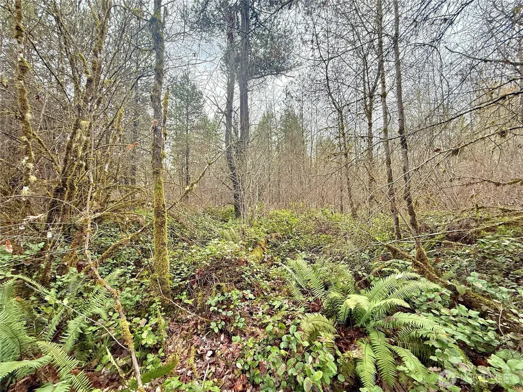 298 Boone Road Toledo WA 98591