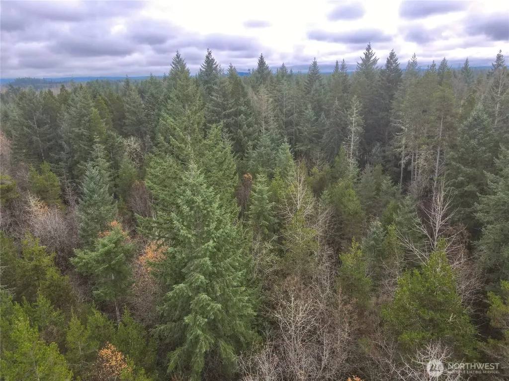 298 Boone Road Toledo WA 98591