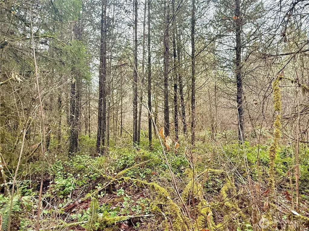 298 Boone Road Toledo WA 98591
