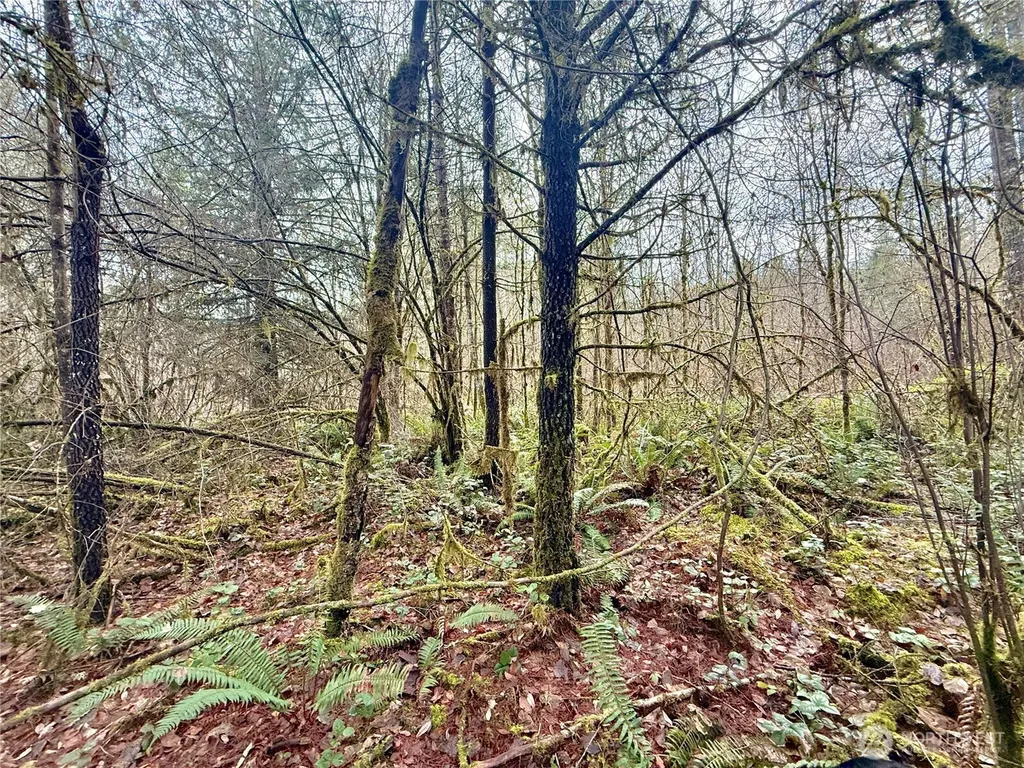 298 Boone Road Toledo WA 98591