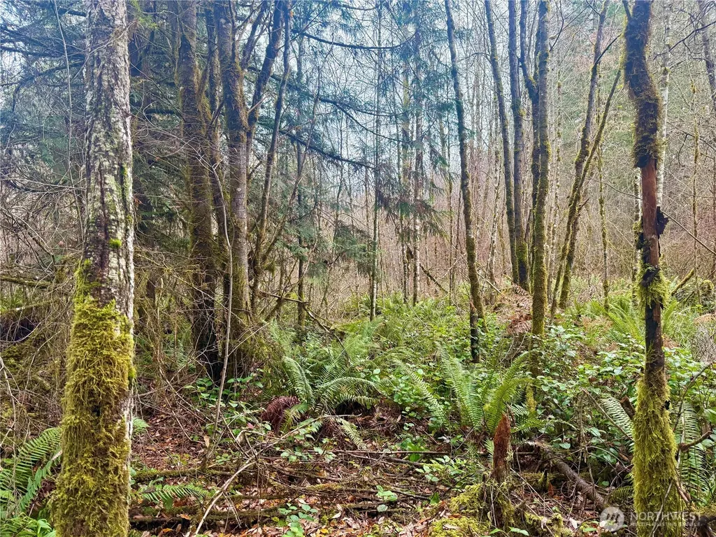 298 Boone Road Toledo WA 98591