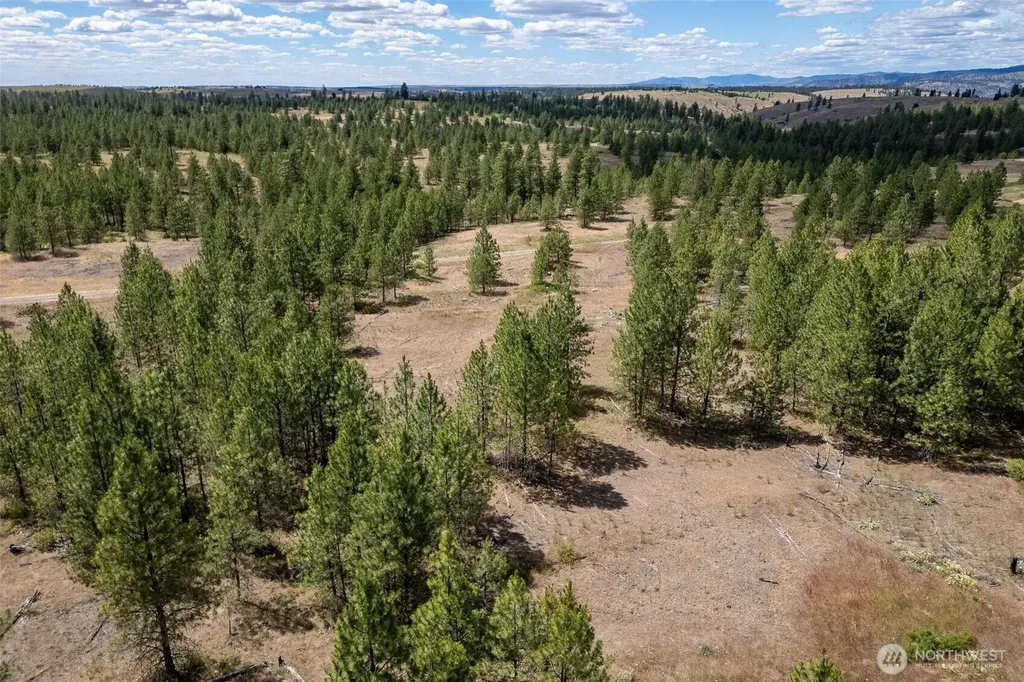 35390 Prairie Lane N Creston WA 99117