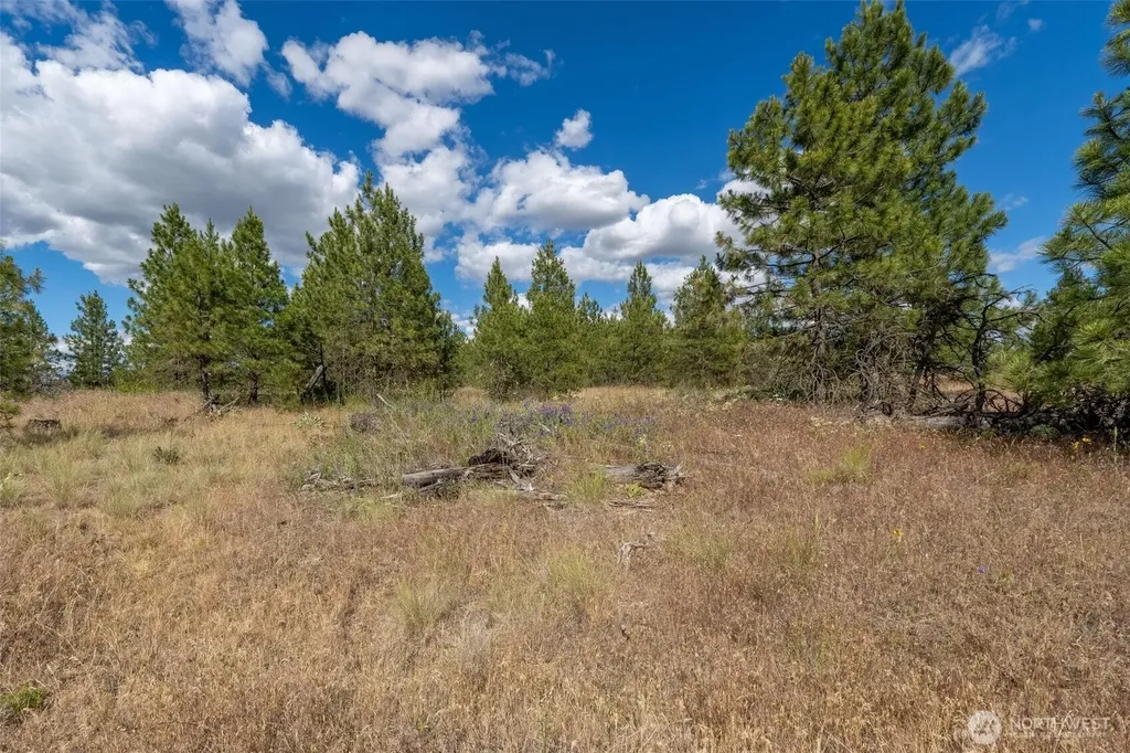 35350 Prairie Lane N Creston WA 99112