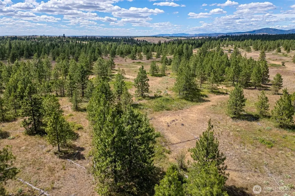 35350 Prairie Lane N Creston WA 99112