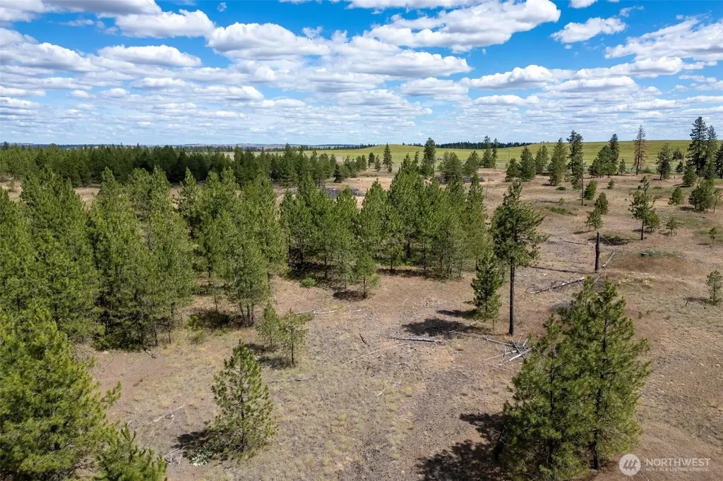 35350 Prairie Lane N Creston WA 99112