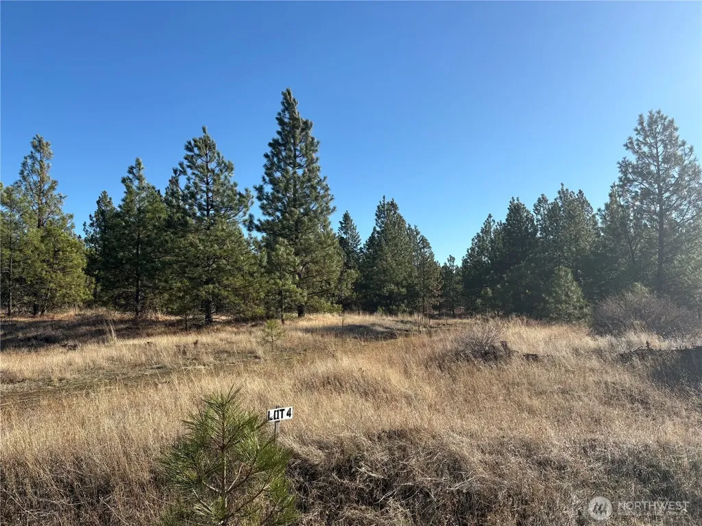 35410 Prairie Lane N Creston WA 99117