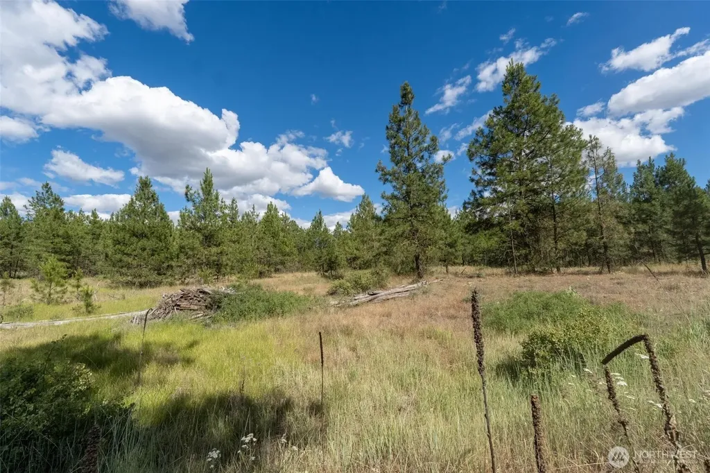 35410 Prairie Lane N Creston WA 99117