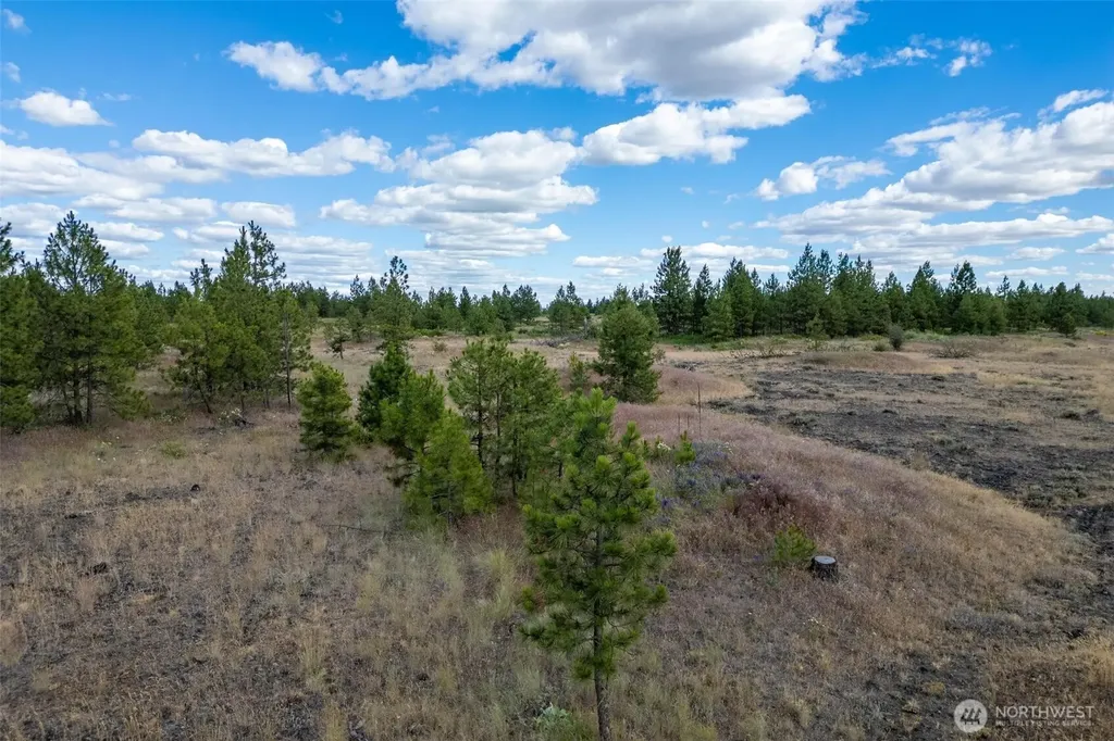 35410 Prairie Lane N Creston WA 99117