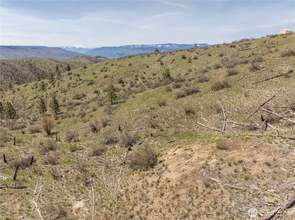 295 Hawks Ridge Road Chelan WA 98816