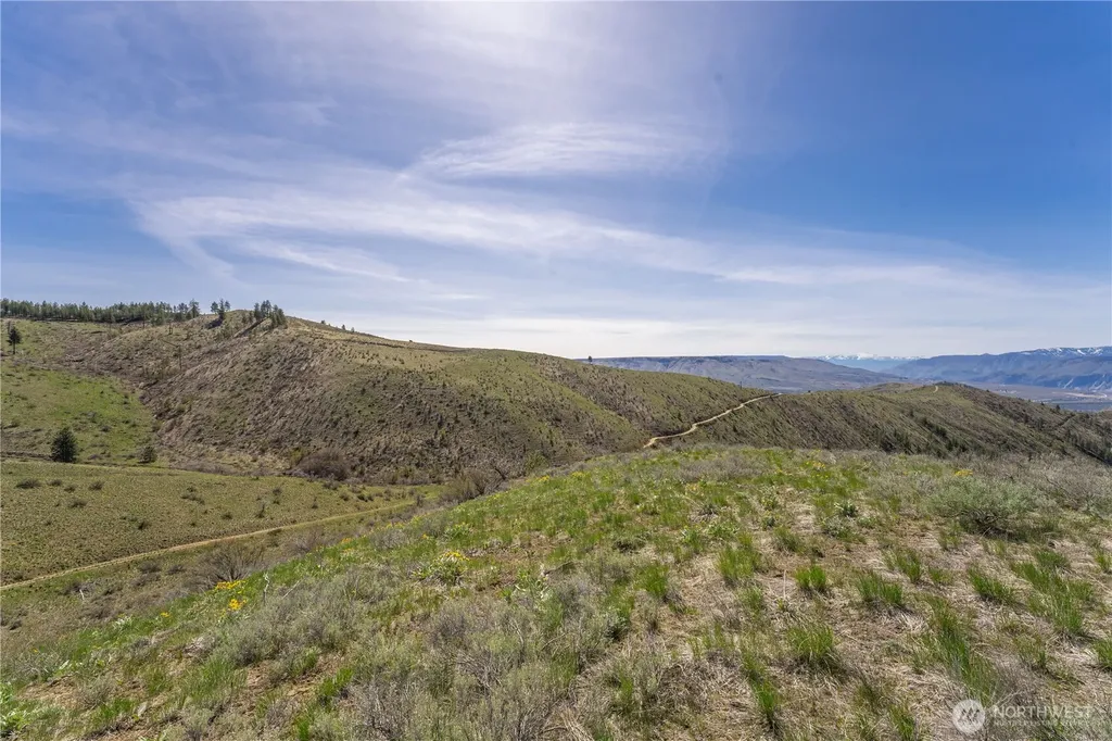 295 Hawks Ridge Road Chelan WA 98816