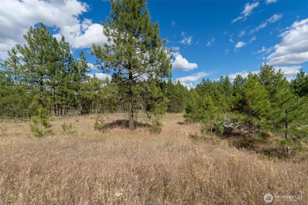 35450 Prairie Lane N Creston WA 99117