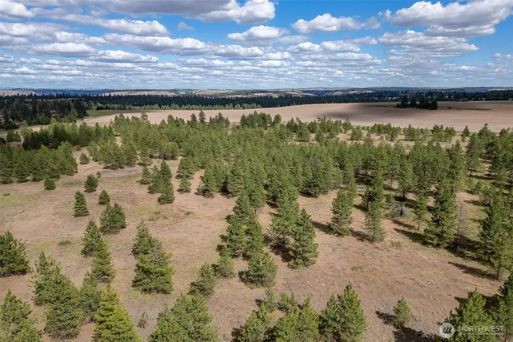 35450 Prairie Lane N Creston WA 99117
