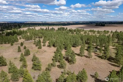 35450 Prairie Lane N Creston WA 99117