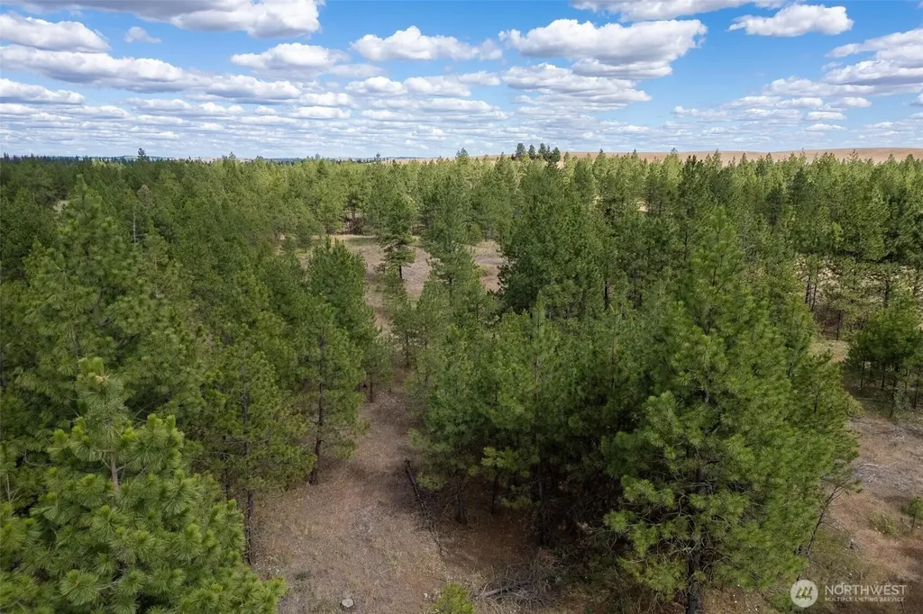 35430 Prairie Lane N Creston WA 99117