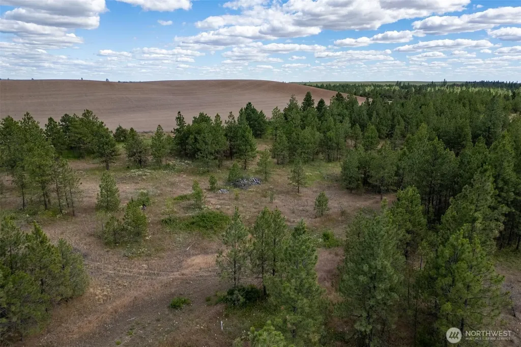35430 Prairie Lane N Creston WA 99117