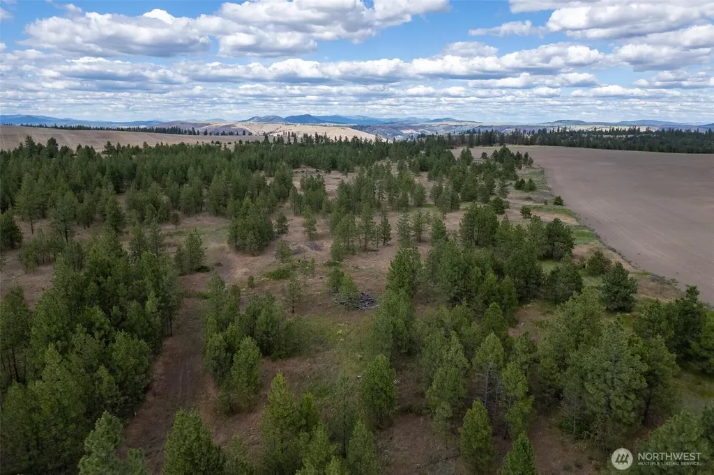 35430 Prairie Lane N Creston WA 99117