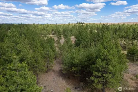 35430 Prairie Lane N Creston WA 99117