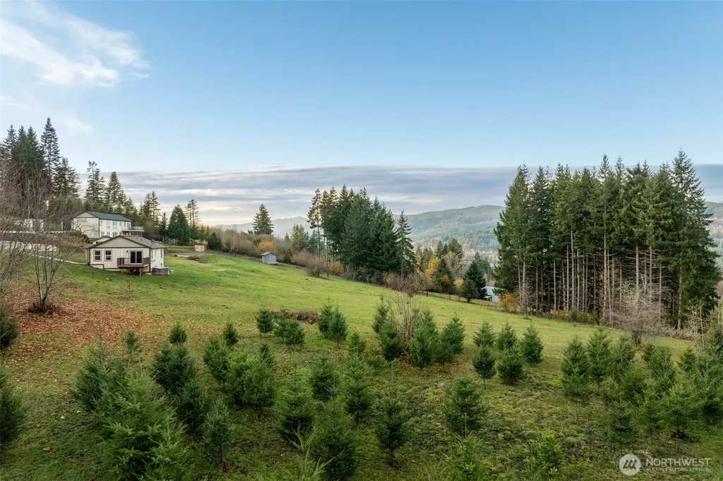 3900 NE 425th Street Woodland WA 98674