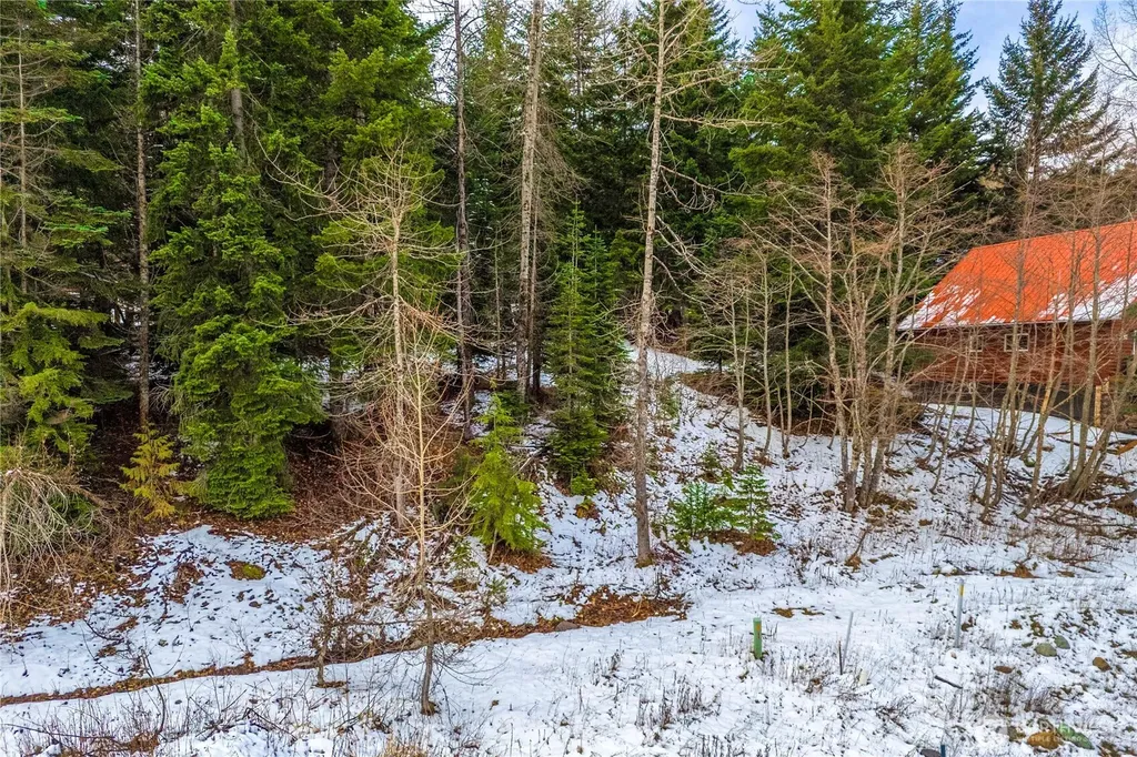 6 Xxxxx Hyak Dr E Snoqualmie Pass WA 98068