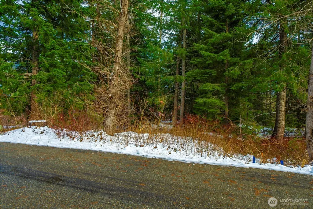 6 Xxxxx Hyak Dr E Snoqualmie Pass WA 98068
