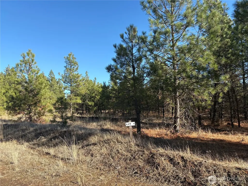35470 Prairie Lane N Creston WA 99117