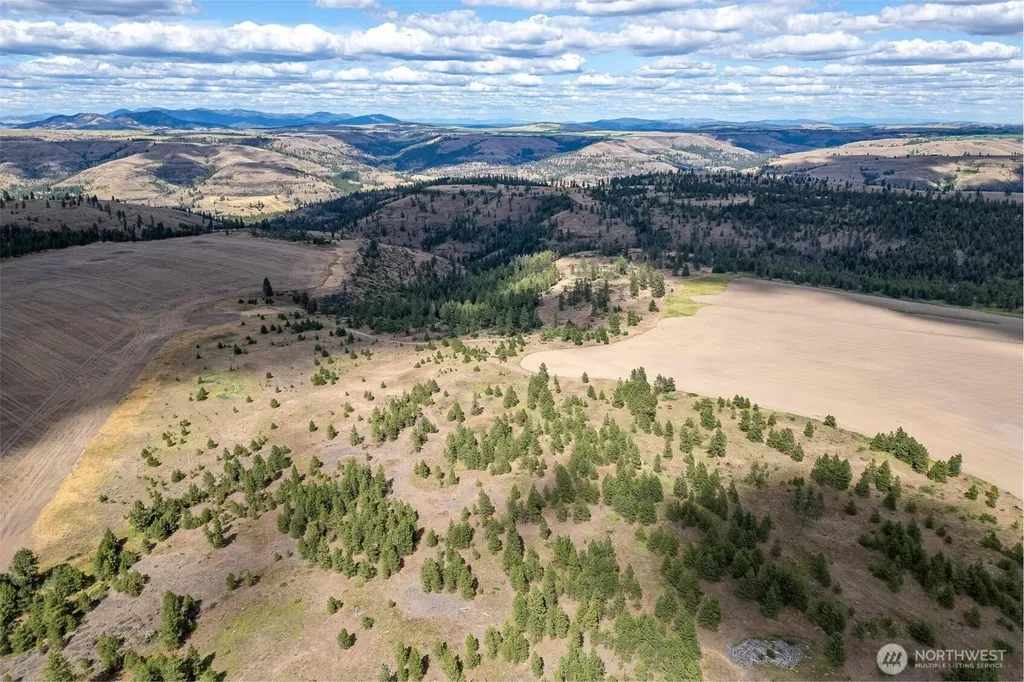 35470 Prairie Lane N Creston WA 99117