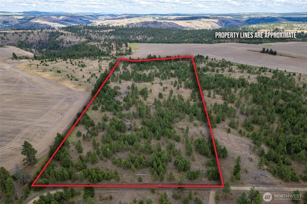 35470 Prairie Lane N Creston WA 99117