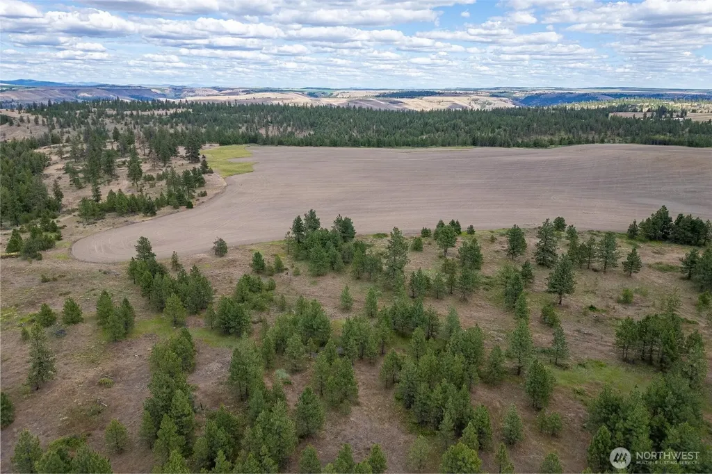 35470 Prairie Lane N Creston WA 99117