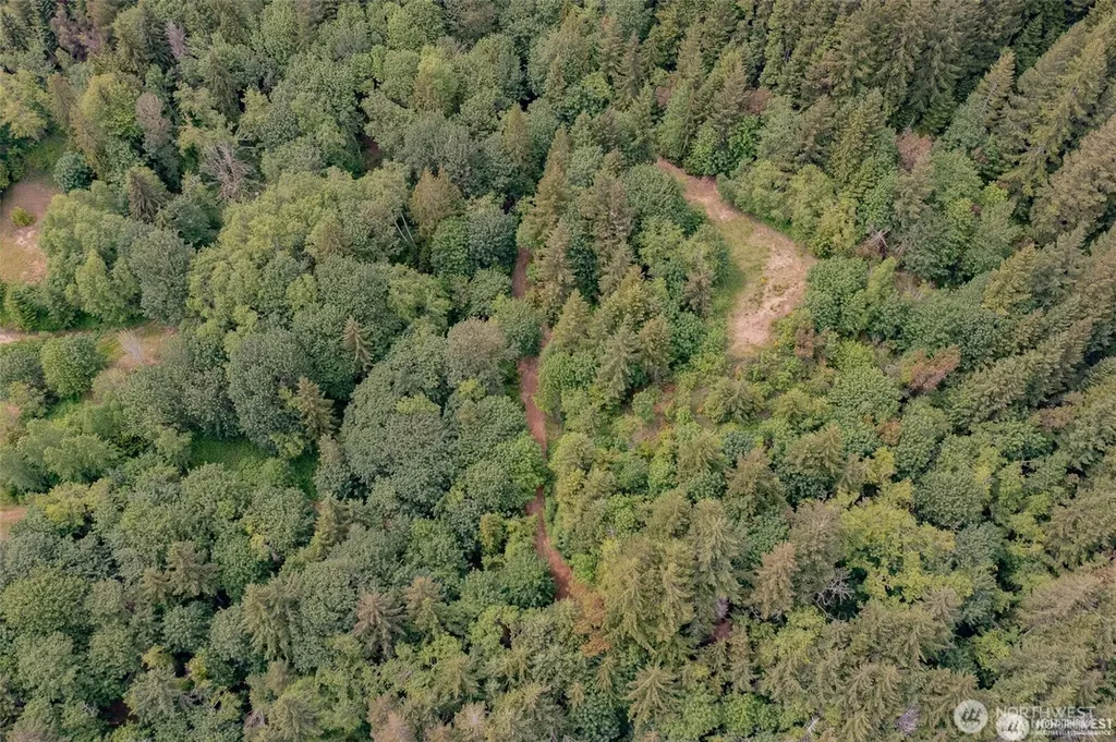 9 Us Highway 101 Lilliwaup WA 98555