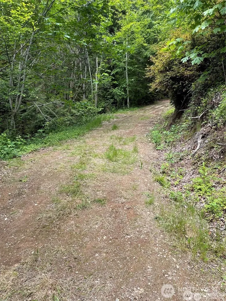 9 Us Highway 101 Lilliwaup WA 98555
