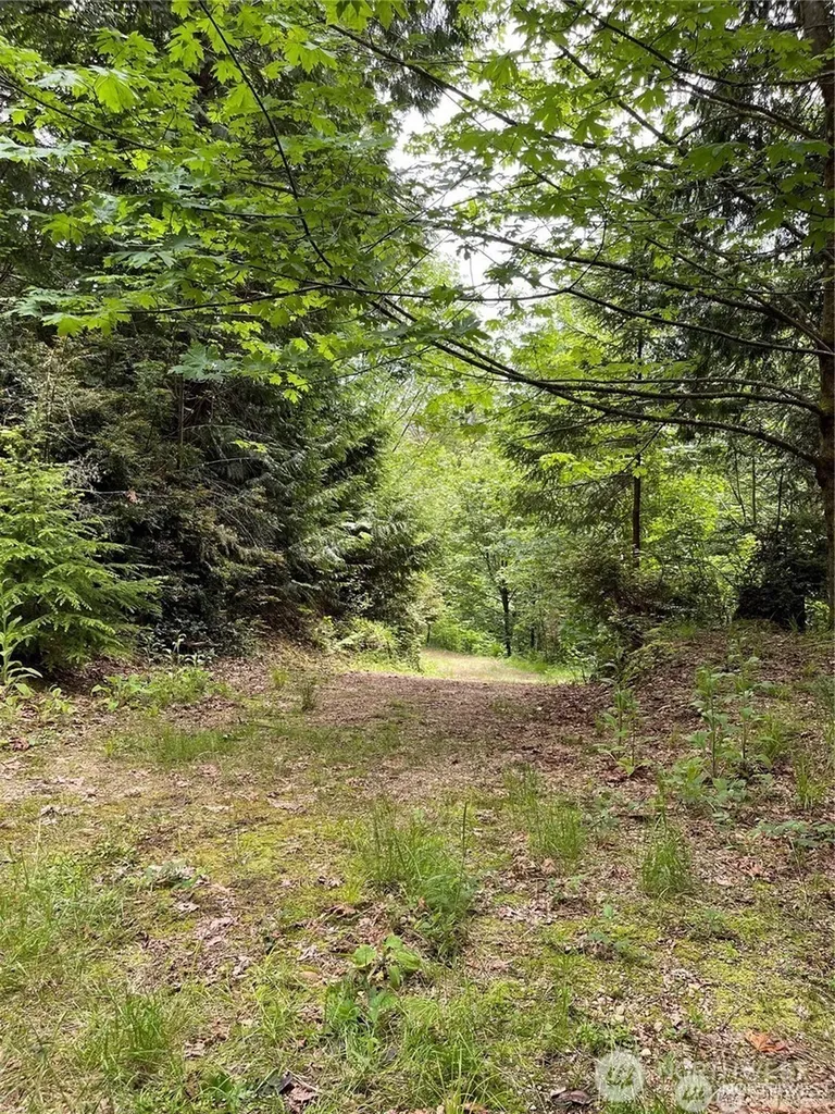 9 Us Highway 101 Lilliwaup WA 98555