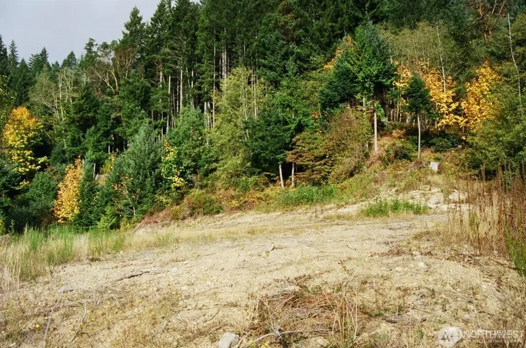 9 Us Highway 101 Lilliwaup WA 98555