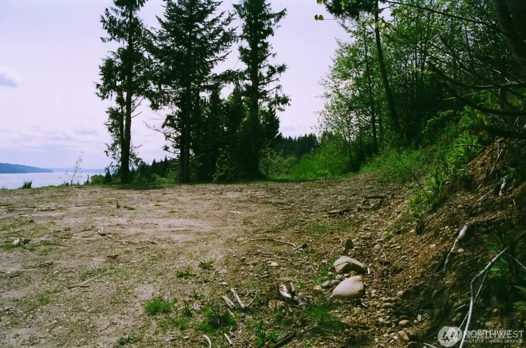 9 Us Highway 101 Lilliwaup WA 98555