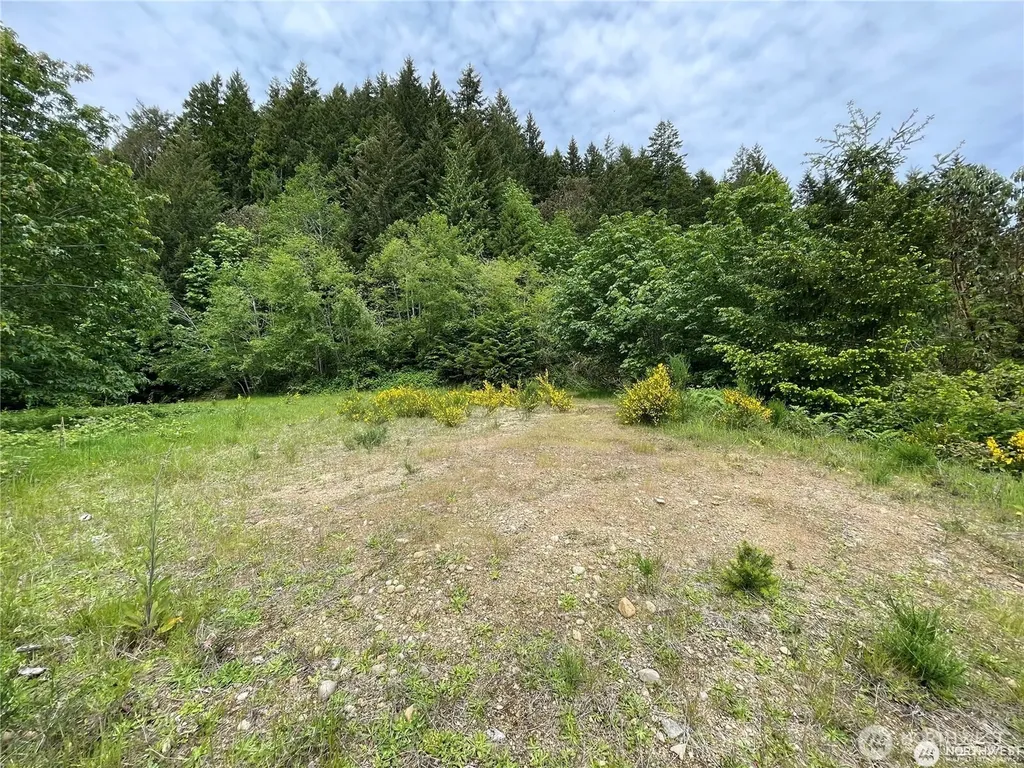 9 Us Highway 101 Lilliwaup WA 98555