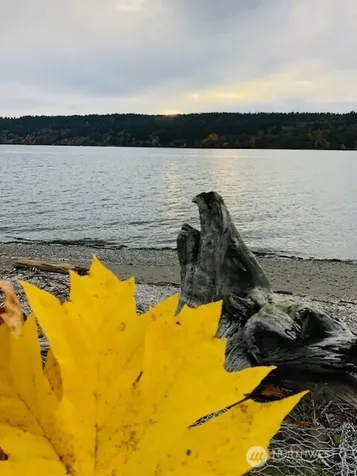 27728 Manzanita Beach Rd SW Vashon WA 98070