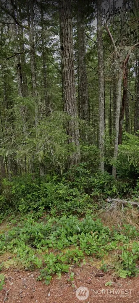 1221 NE Collins Lake Drive Tahuya WA 98588