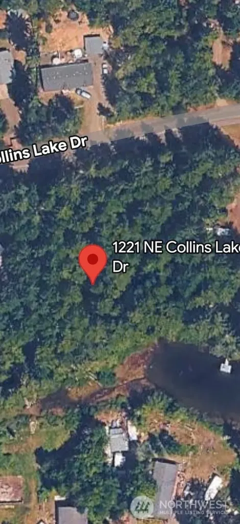 1221 NE Collins Lake Drive Tahuya WA 98588