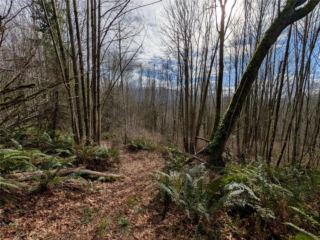 0 132nd Street SE Sultan WA 98294