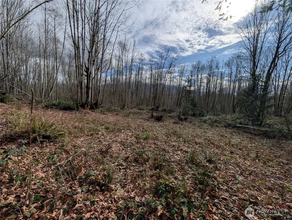 0 132nd Street SE Sultan WA 98294