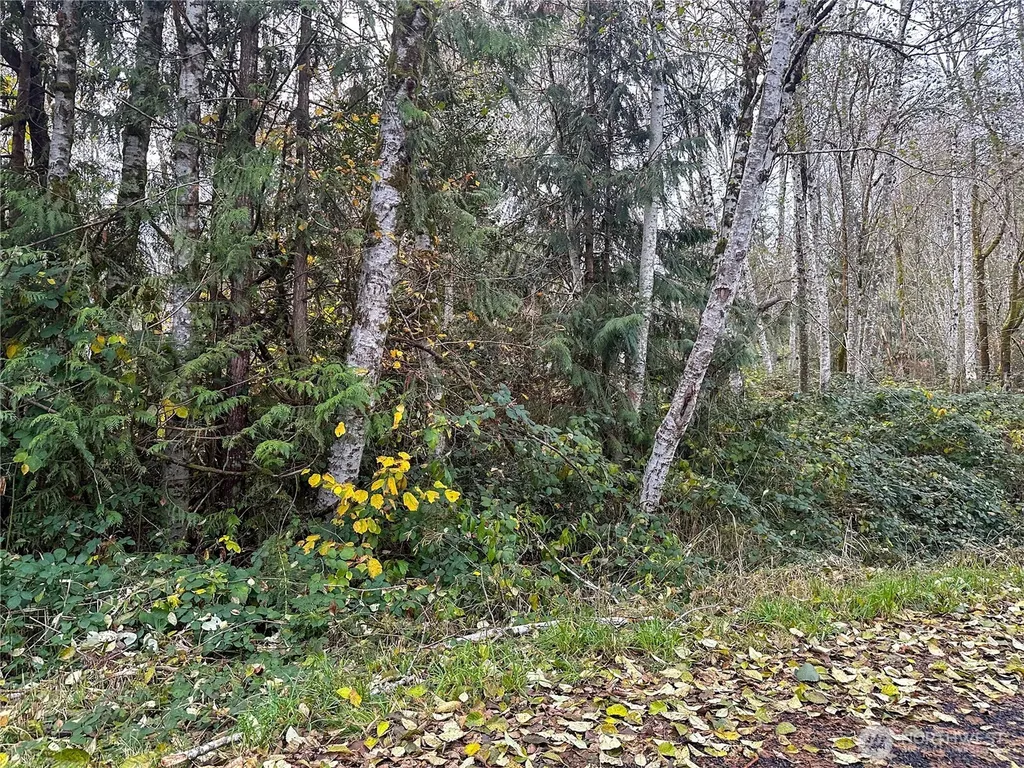 7609 Lakeside Street SW Olympia WA 98512