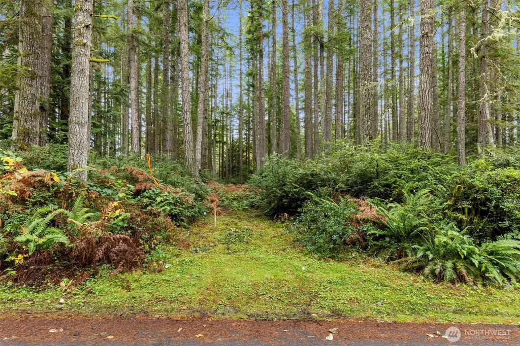 5 Larson Lane NW Seabeck WA 98380