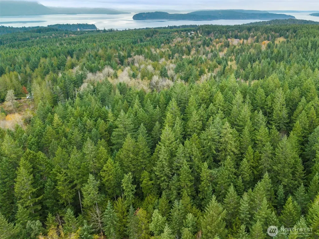 3 Larson Lane NW Seabeck WA 98380
