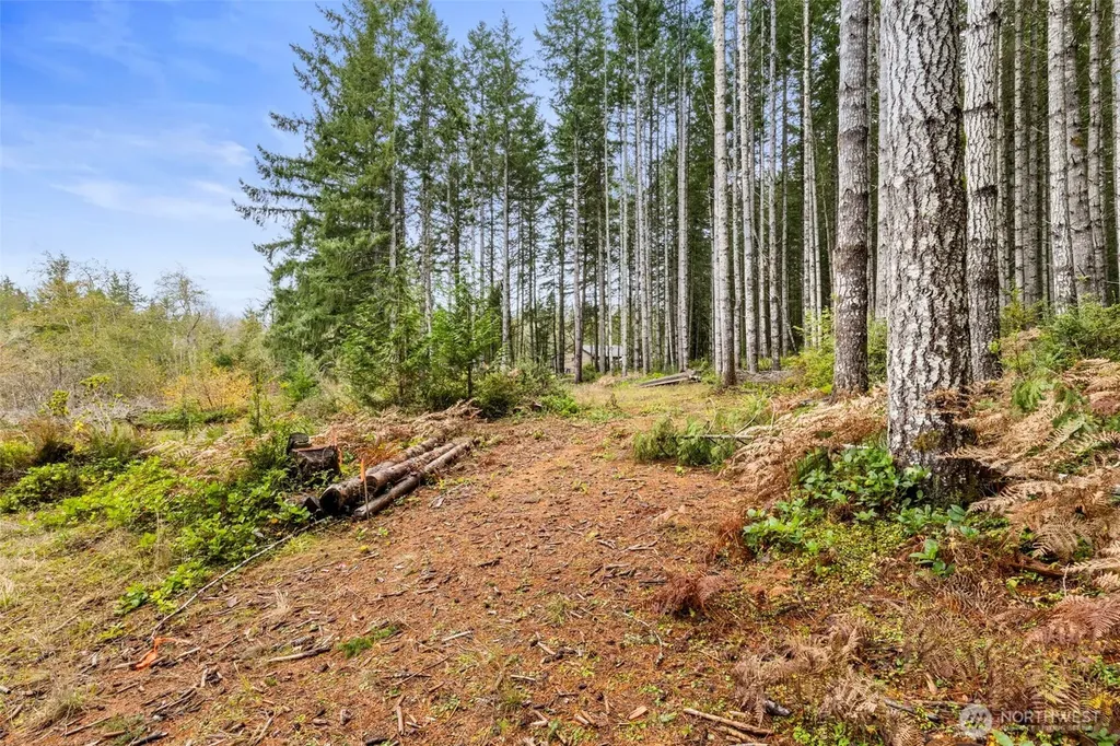 3 Larson Lane NW Seabeck WA 98380