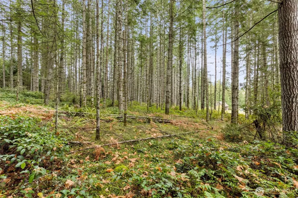 3 Larson Lane NW Seabeck WA 98380