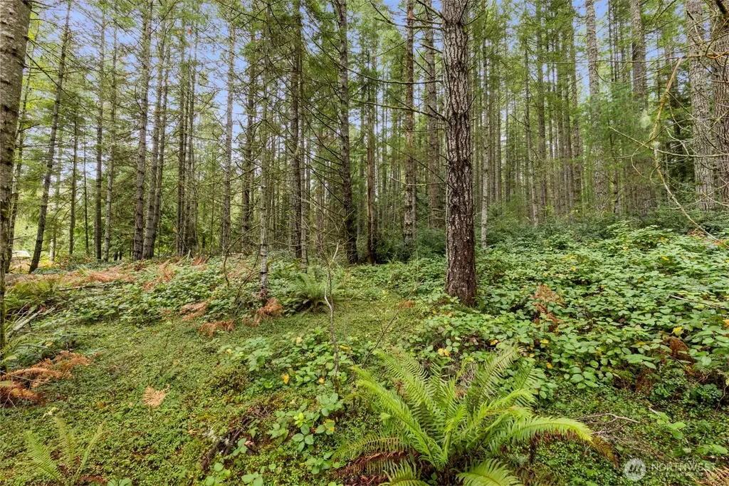 3 Larson Lane NW Seabeck WA 98380