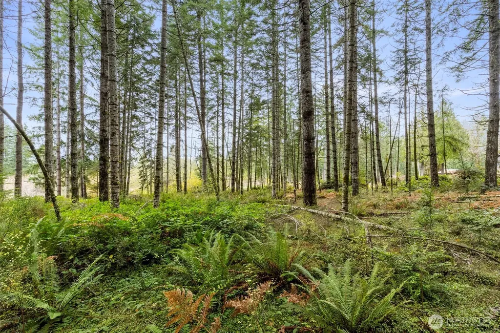 3 Larson Lane NW Seabeck WA 98380