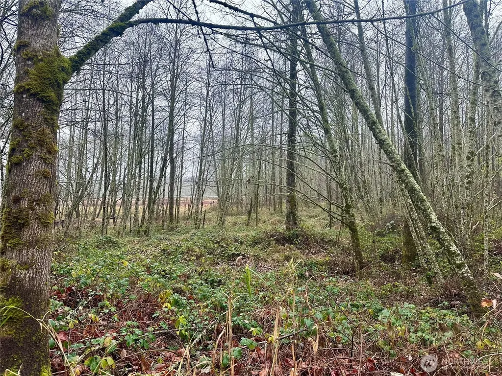 1230 Silverbrook Road White Pass WA 98937
