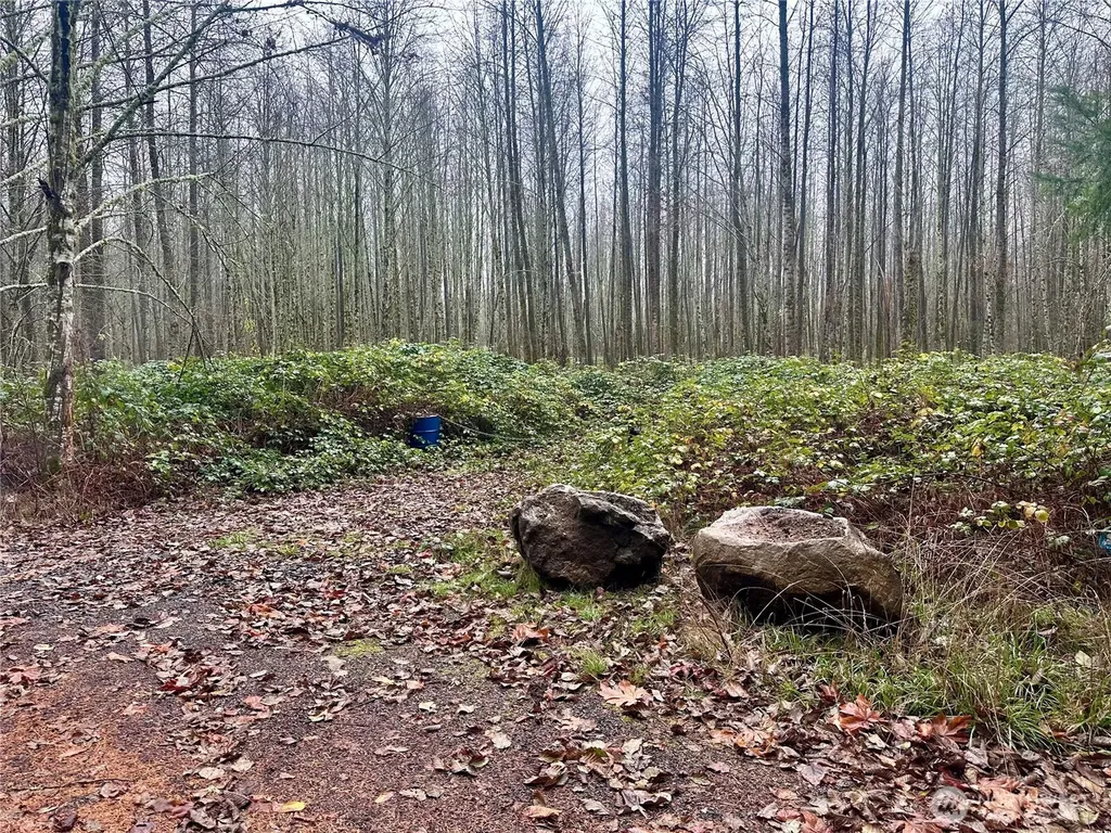 1230 Silverbrook Road White Pass WA 98937